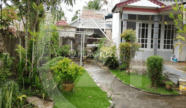 Rumah Dengan Taman Yang Luas di Jalan Adisucipto 2