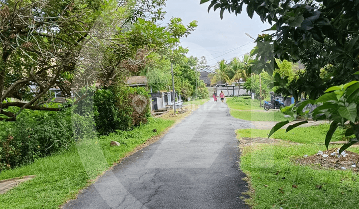 Tanah Siap Pakai di Jalan Enggano 2