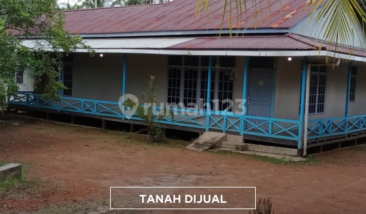 Spacious Land in a Strategic Location on Mempawah Main Road Spacious Land in a Strategic Location on Mempawah Main Road