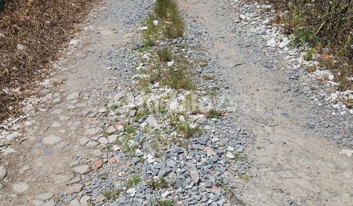 Land Ready for Use in Siantan Hulu, Pontianak