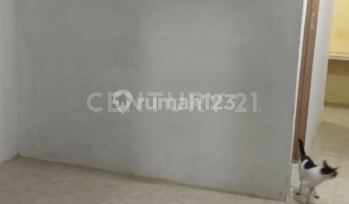 Rumah Kontrakan 8 Pintu Dekat Kampus STKIP PGRI 2