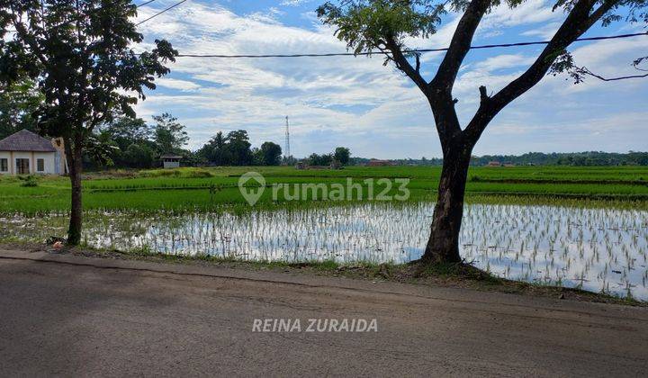 Tanah SHM Pinggir Jalan di Cariu Bogor 2