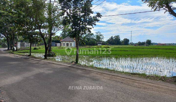 Tanah SHM Pinggir Jalan di Cariu Bogor 1