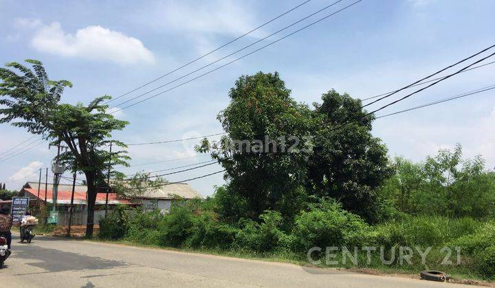 Dijual Kavling Jln Raya Serang Cibarusah  1