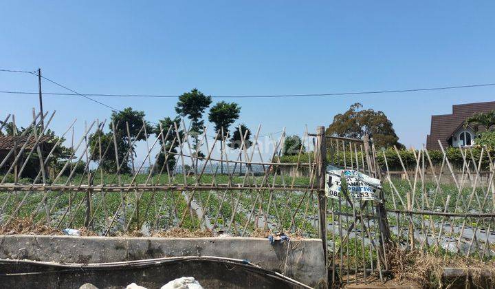 Kavling Lembang cocok untuk Villa/kebun 1