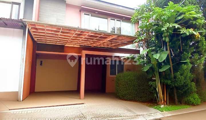 Rumah Lux Homey Singgasana Pradana