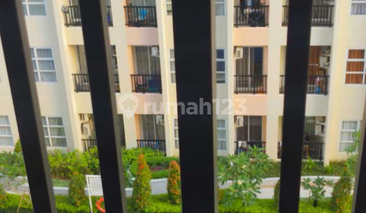 Affordable Apartement Saveria Studio BSD Tangerang