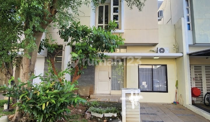 For Rent Cluster Canary The Spring Gading Serpong House