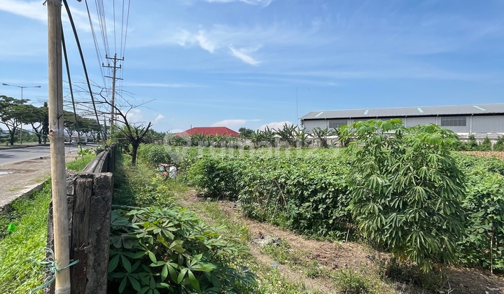 Lahan Industri SHM. bisa Produksi Batu Bara. Kaliwungu Kendal Lahan Industri SHM. bisa Produksi Batu Bara. Kaliwungu Kendal
