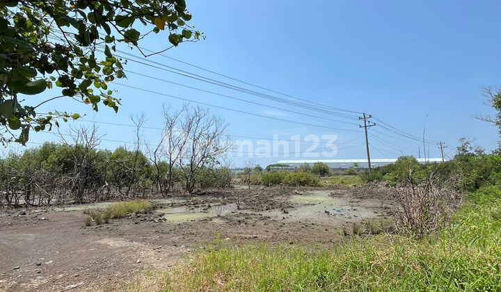 Tanah Industri Kendal. bisa Beli Sebagian Sesuai Kebutuhan Tanah Industri Kendal. bisa Beli Sebagian Sesuai Kebutuhan