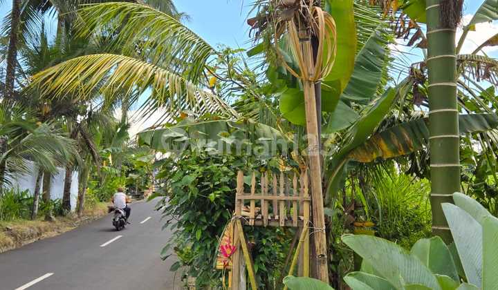 Tanah Ubud , Gianyar Bali