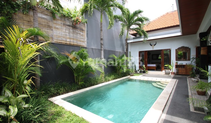 Villa Luas 200 M2 Kamar Tidur 2 Fully Furnished Dekat Sekolah International Di Umalas Kerobokan Bali Villa Luas 200 M2 Kamar Tidur 2 Fully Furnished Dekat Sekolah International Di Umalas Kerobokan Bali