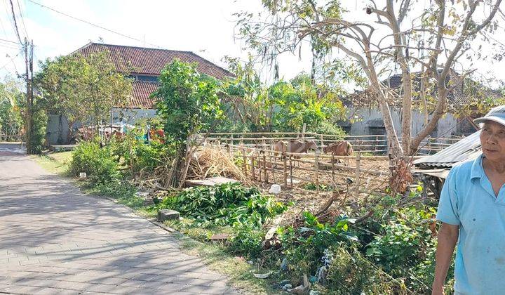 Tanah 5 Are Lingkungan Perumahan Dekat Unud Jimbaran  Tanah di Jalan Bumi Jimbaran Asri, Jimbaran SHM - Sertifikat Hak Milik 500 Squaremeter 1