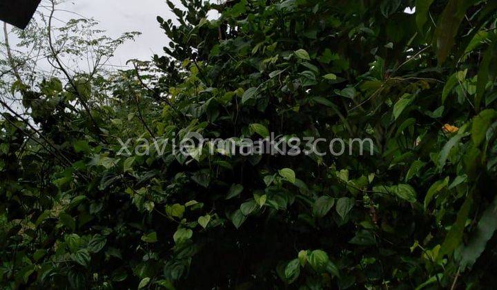 Komplek Bulog Bekasi 7