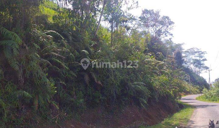 Tanah Murah Daerah Neglasari Lebak Banten 1