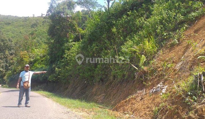 Tanah Murah Daerah Neglasari Lebak Banten 2