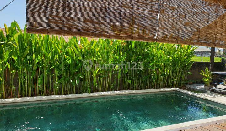 For Sale Villa Great Mentainece In Kerobokan  2