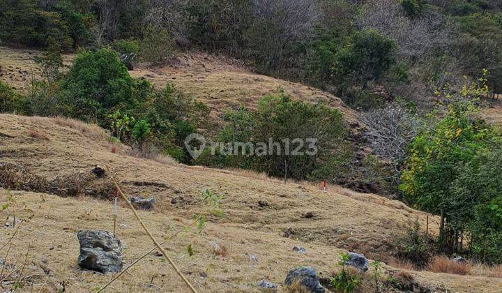 Dijual Tanah 17000m Di Labuan Bajo, Manggarai Barat 1