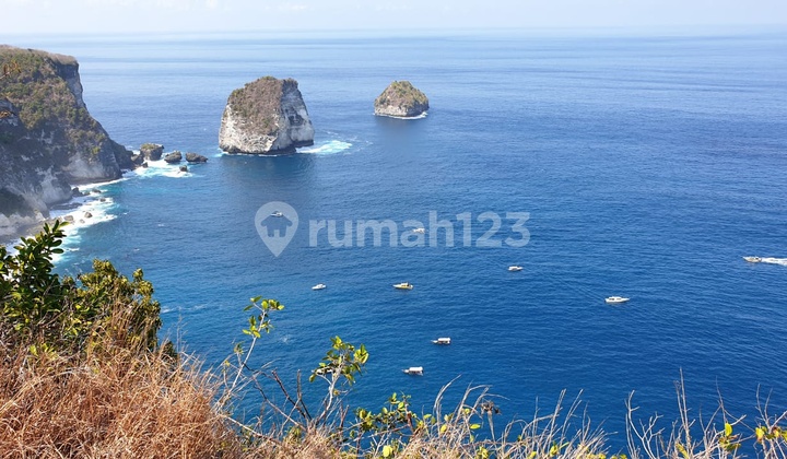 Cheap 4ha land for sale in Nusa Penida, Bali