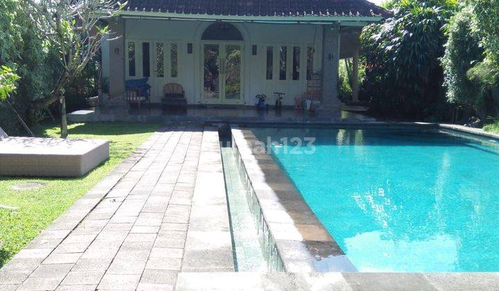 Freehold Villa Murah di Umalas Bali 1