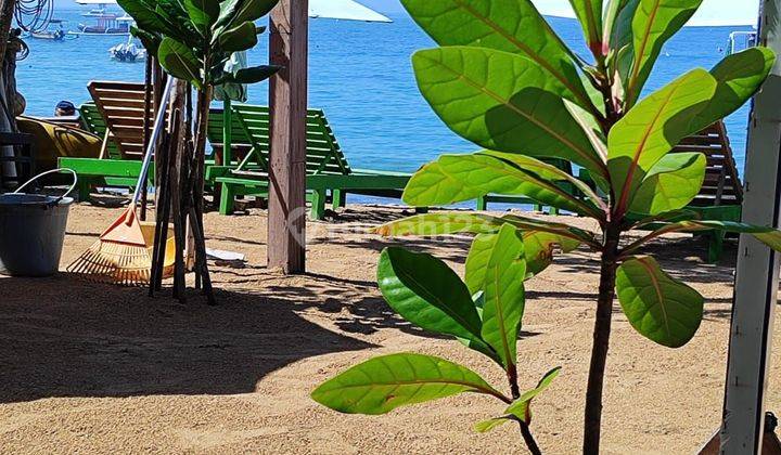 Jual cepat Lahan kosong los pantai di sanur, Bali 1