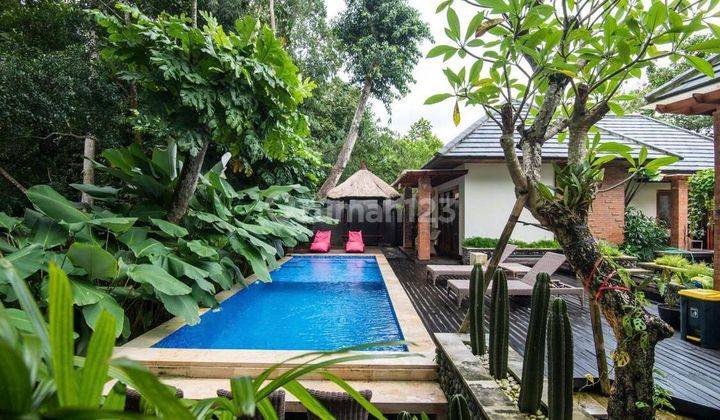 Private Villa 4 bedrooms with big pool location in Canggu 1