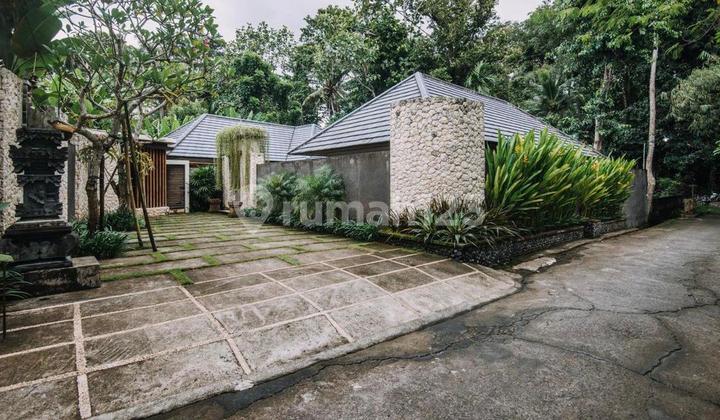 Private Villa 4 bedrooms with big pool location in Canggu 2