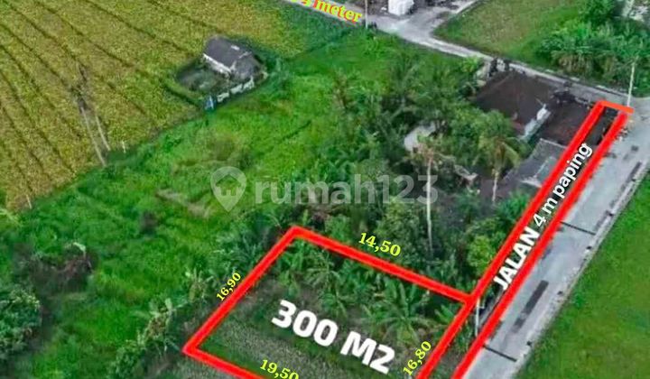 Strategic Land Near Canggu Bali Strategic Land Near Canggu Bali