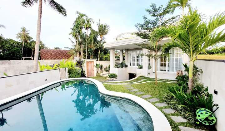 Luxury 5 Bedroom Villa In Pererenan Canggu Bali Luxury 5 Bedroom Villa In Pererenan Canggu Bali