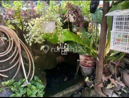 Dijual Rumah Bu Matraman, Jakpus 2