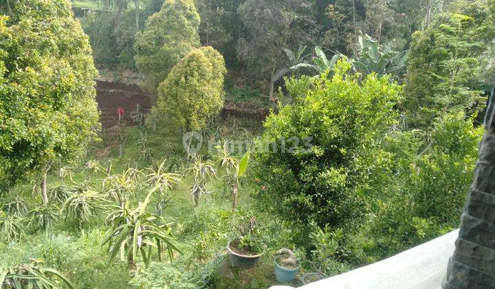 HARGA TURUN !.   MURAH Tanah Luas Berikut Bangunan di Kolonel Masturi