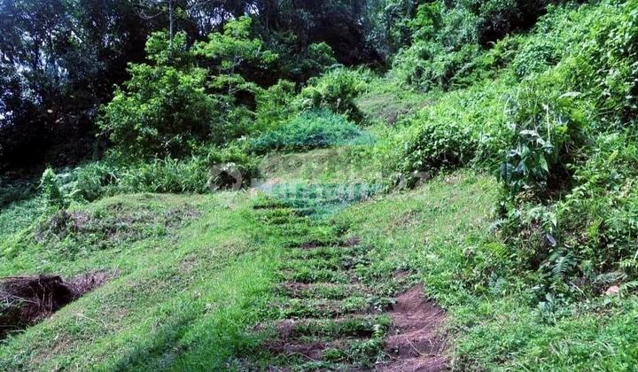 Dijual Tanah langka Ubud Bali