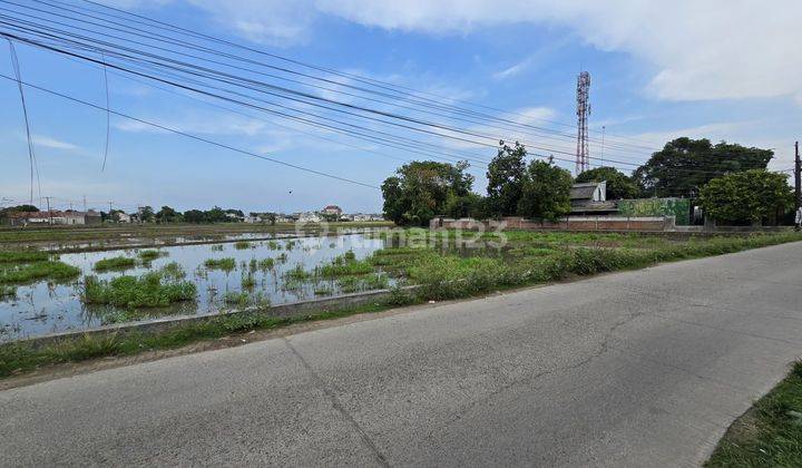 Tanah Sawah 1 Hektar Boleh Split Karawang Timur Dekat Summarecon 2