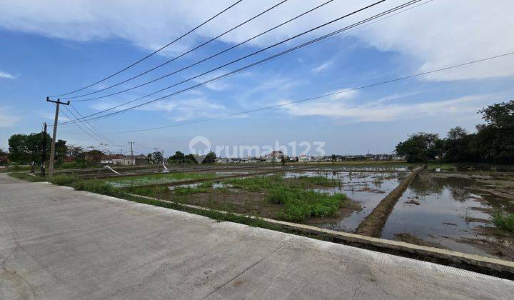 Tanah Sawah 1 Hektar Boleh Split Karawang Timur Dekat Summarecon 1