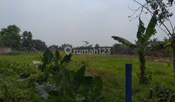 Dijual BU tanah di jalan raya serang pajagan  2