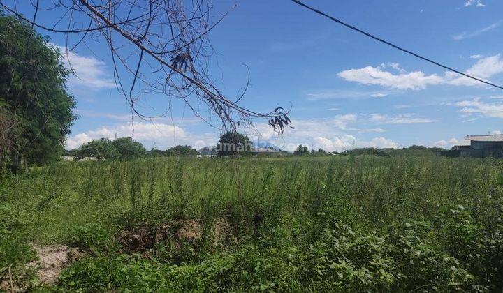 Tanah di Jalan Raya Serang Kragilan Banten Strategis 1