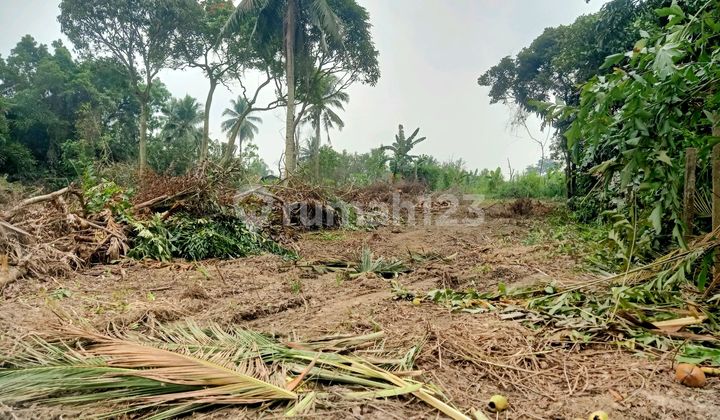 Land for Rent Nurdin Panji