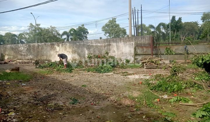 Rent of Land by Nurdin Panji Roadside Land Rent of Land by Nurdin Panji Roadside Land