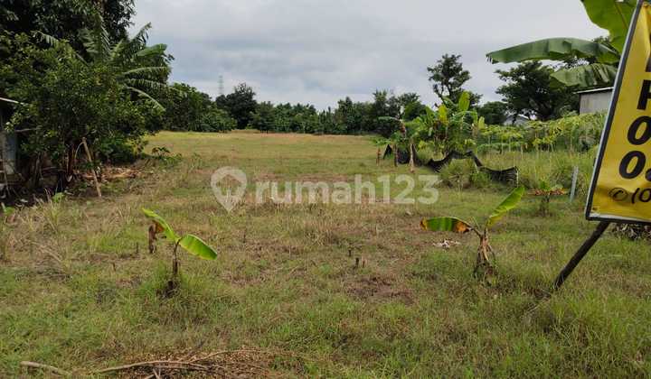 FOR SALE! LAND IN KARANGANYAR