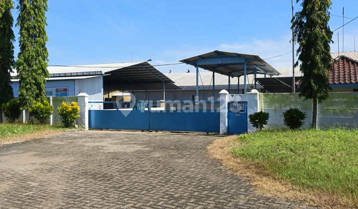 FOR SALE! FACTORY IN GOWA, SOUTH SULAWESI FOR SALE! FACTORY IN GOWA, SOUTH SULAWESI