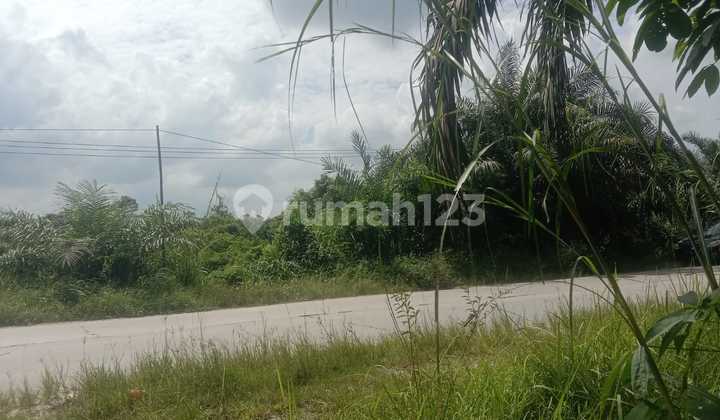 DIJUAL! TANAH DI KAMPAR, RIAU 1