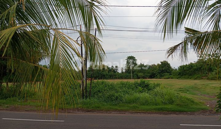 DIJUAL! TANAH DI JEMBRANA BALI