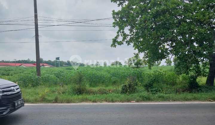 DIJUAL TANAH KOSONG DI LAMPUNG TENGAH