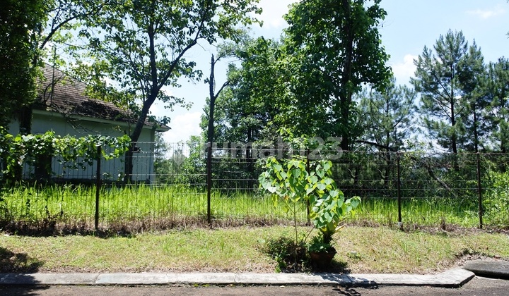 Dijual Kavling Siap Bangun Bukit Zambrud Iii No.5 Sentul City Bogor Dijual Kavling Siap Bangun Bukit Zambrud Iii No.5 Sentul City Bogor