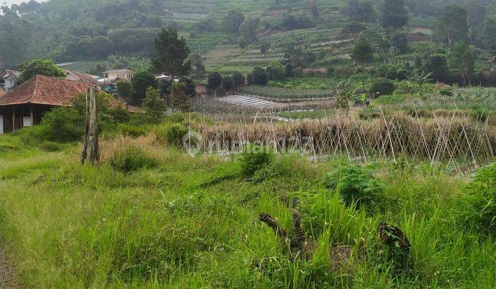 Tanah  di Jl. Tangkuban Perahu dekat Hotel Puteri  Gunung