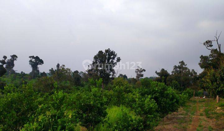 Tanah dijual di lokasi strategis Cianjur 1