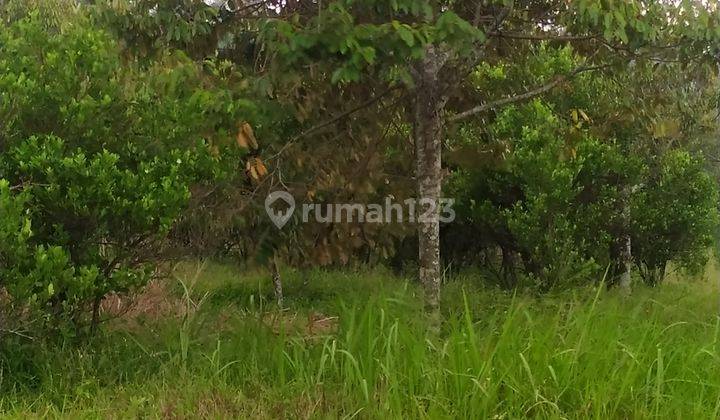 Tanah dijual di lokasi strategis Cianjur 2