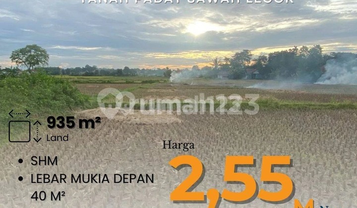 Solid Rice Field Land in Legok with SHM