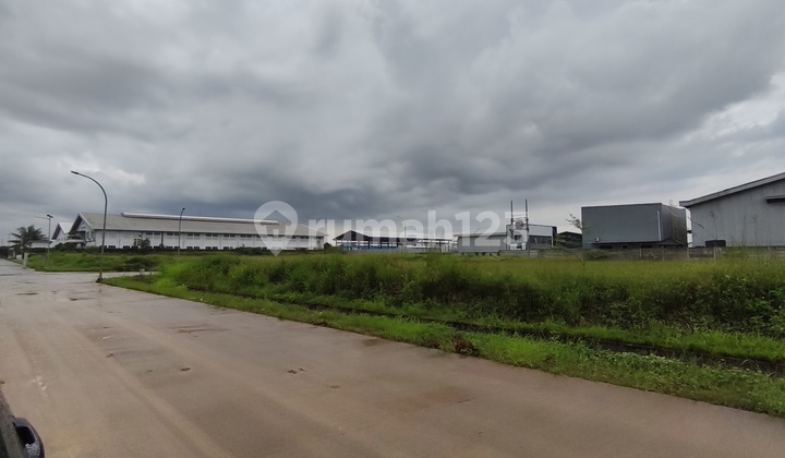 Good Land for Warehouse or Industry Within the Area