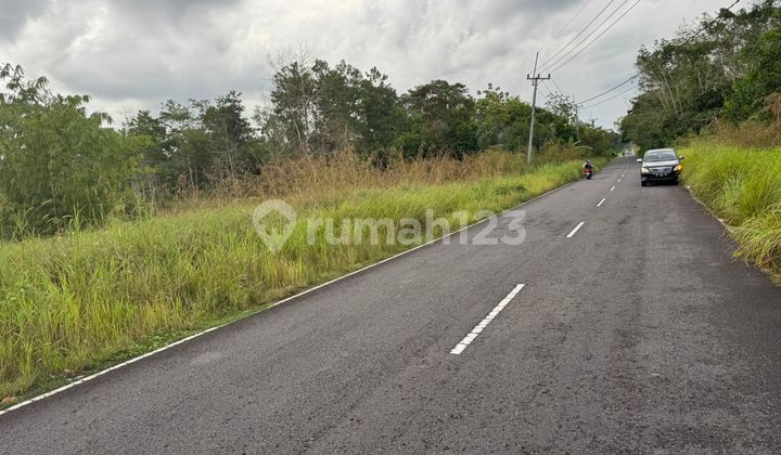 Dijual Kavling Siap Bangun Di Air Merbau, Belitung Dijual Kavling Siap Bangun Di Air Merbau, Belitung